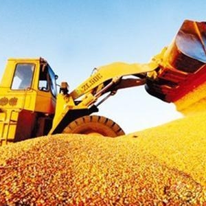 糧食價格會暴漲是謊言，不可信