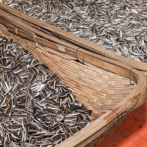 瓜子在哪買便宜？瓜子采購(gòu)商須知