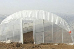 談談大棚膜怎么賣，一平方多少錢