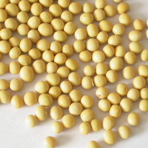 大豆為什么這么重要？談談今年大豆的價格漲跌