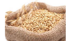 麻袋批發(fā)需注意什么？ 購(gòu)買麻袋要注意什么？