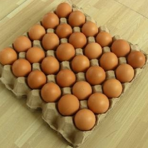 辦雞蛋托廠利潤(rùn)怎么樣？深度分析開雞蛋托廠是否賺錢