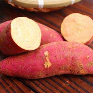 談談紅薯批發價格行情怎么把握