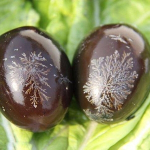 松花皮蛋批發(fā)廠家哪家好，教你鑒別方法