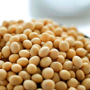 黃豆批發價格多少合理，這幾個方面說了算