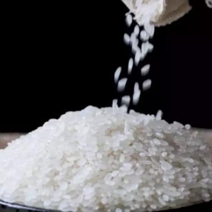 東北大米批發(fā)價分析，如何買到質(zhì)優(yōu)價廉