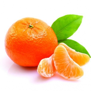 柑桔批發(fā)價分析，柑桔批發(fā)多少錢劃算