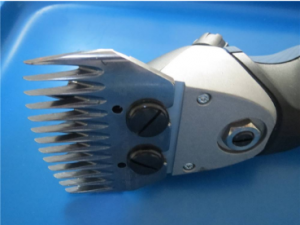 羊毛剪刀電動(dòng)的多少錢好用